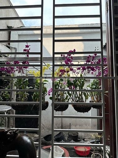 Bán Biệt Thự Sân Vườn Lê Văn Khương Q12 Chính Chủ.