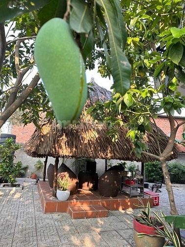 Bán Biệt Thự Sân Vườn Lê Văn Khương Q12 Chính Chủ.