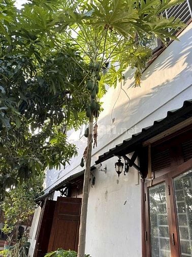 Bán Biệt Thự Sân Vườn Lê Văn Khương Q12 Chính Chủ.