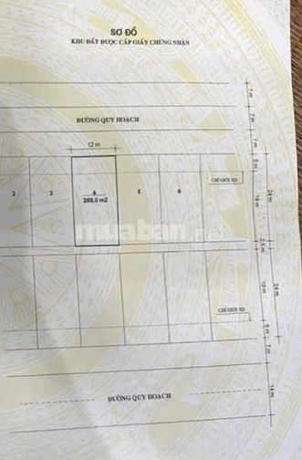Bán đất 288m2 cạnh cơm sạch Bà Liên , Cái Dăm