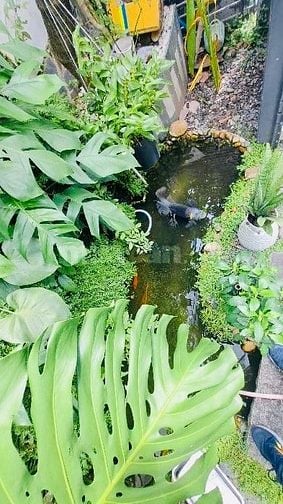 Bán Nhà Vườn 8.2m*24m 2 Tầng Sổ Hồng Riềng Giá 6.79 tỷ 
