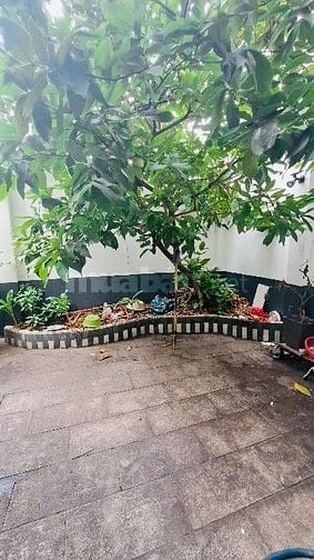 Bán Nhà Vườn 8.2m*24m 2 Tầng Sổ Hồng Riềng Giá 6.79 tỷ 