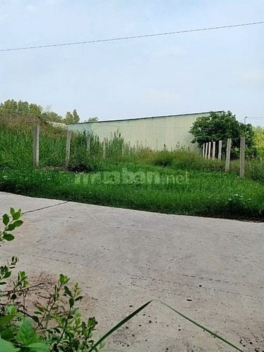 Bán đất thổ cư đường ôtô xã An Thới Đông Huyện Cần Giờ TPHCM 