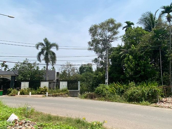 XUẤT NGOẠI CẦN "BÁN GẤP MT ĐƯỜNG AS01"
