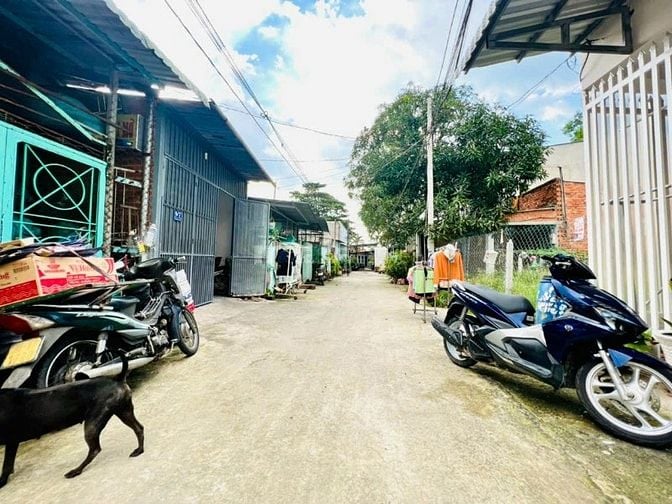Kẹt tiền bán nhanh lô đất xã Tân Thạnh Đông, 107m2, SHR, 1 tỷ 195