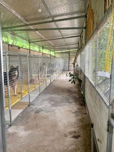 Cho thuê Vườn 5000 m2, cách Big C Thăng Long 10km nhỉnh 10 triệu 