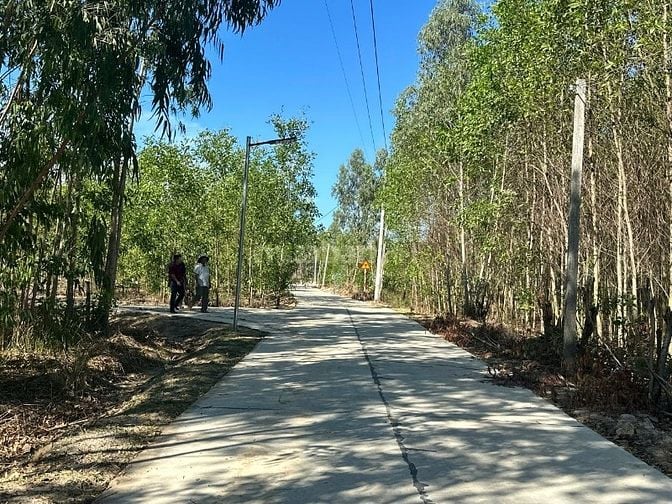 2 Mẫu Tân Xuân Hàm Tân 3 Mt Đường Nằm Khu Dân Cư Giá Ngộp
