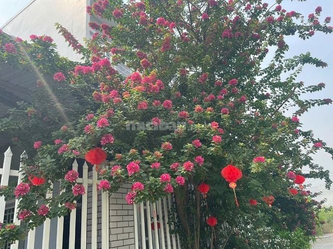 Chính chủ bán nhà 1 trệt 1 lầu giá 2,53 tỷ xã Tân Bửu, Bến Lức