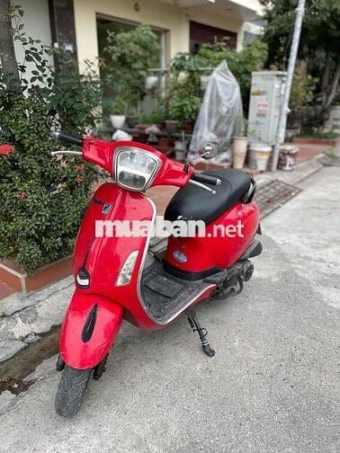 xe 50cc