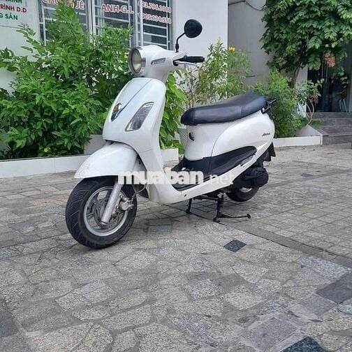 Xe alizabet giấy tờ đầy đủ