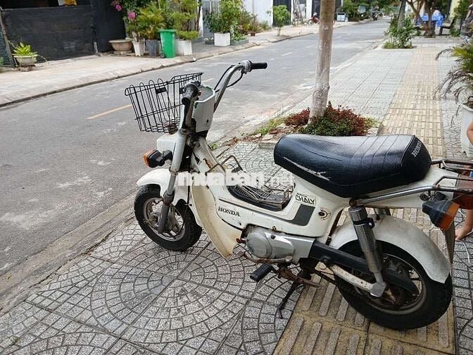 Xe chally honda Nhật, đời 1979 , máy còn rất ngon