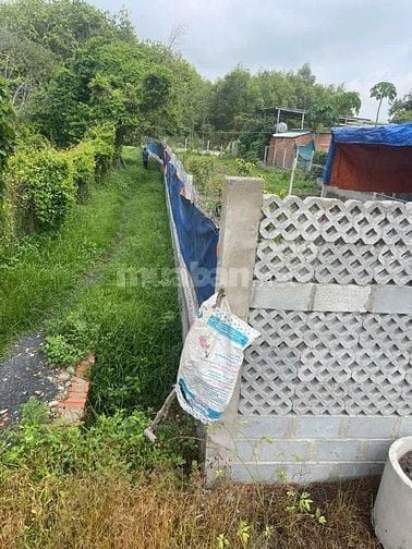 600m2, xã Tân Thông Hội, Củ Chi, SHR, 1 tỷ 395
