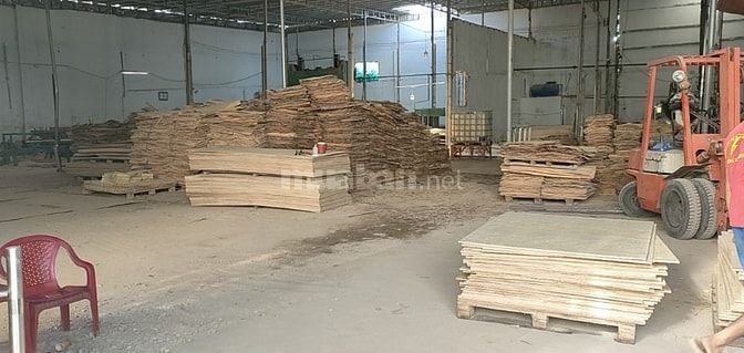 Cần tuyển GẤP NAM LĐPT làm ván ép