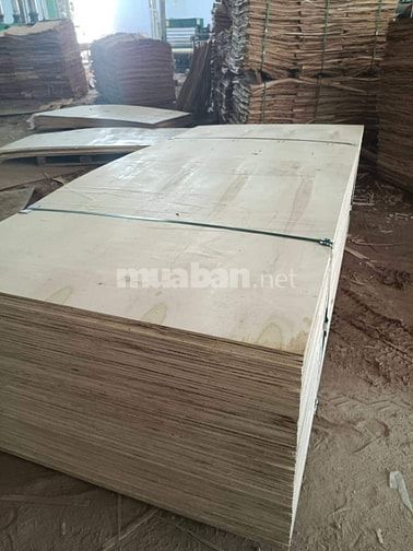 Cần tuyển GẤP NAM LĐPT làm ván ép