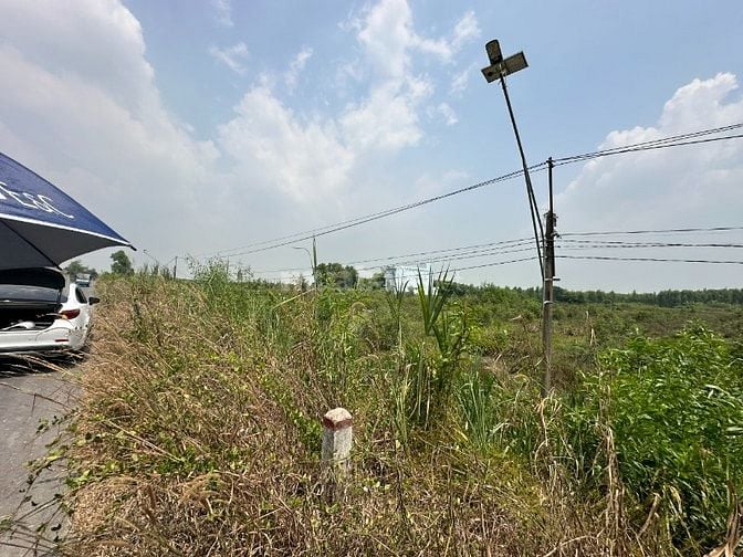 Bán đất mặt tiền đường Trần Văn Trà 100x100m Bình Phong Thạnh- Long An