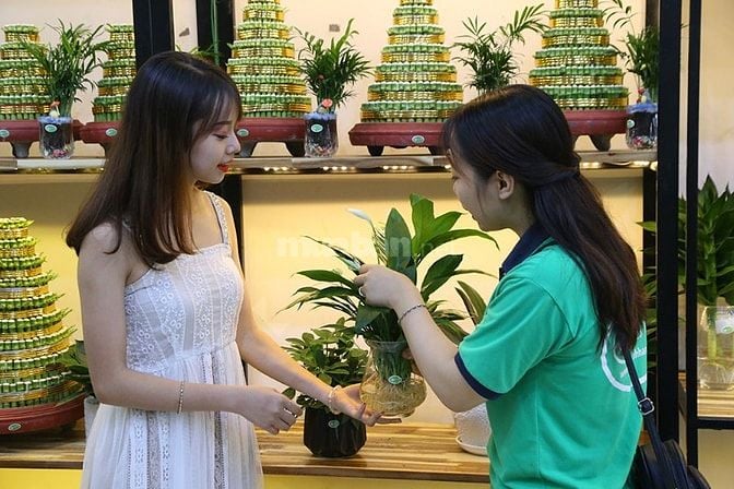 NV Bán hàng ca tối shop Hoa Lan Cây cảnh