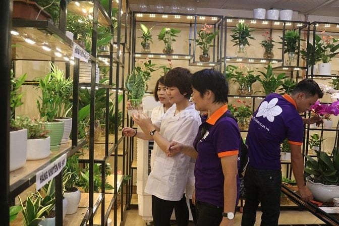 NV Bán hàng ca tối shop Hoa Lan Cây cảnh