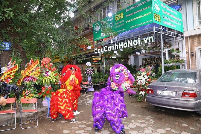 NV Bán hàng ca tối shop Hoa Lan Cây cảnh