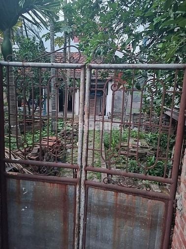  Bán đất Hoàng Liên, Bắc Từ Liêm, 50,2 m2, mặt tiền 4.2m, giá 5.25 tỷ 