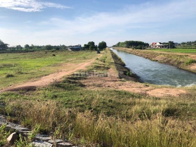 Quá rẻ cho 20000m2 (2ha) ở Bình thuận giá chỉ chưa tới 50ngàn/m2 