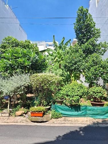 Bán đất mặt tiền đường 33 An Phú Quận 2 giá 28 tỷ
