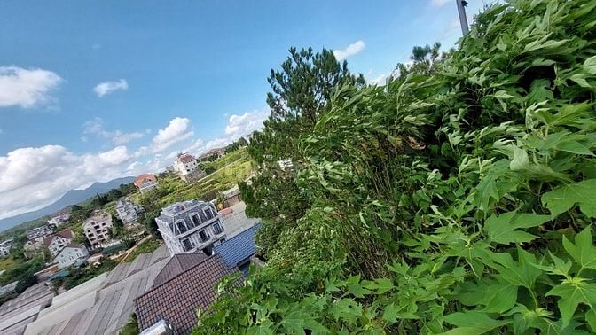 Bán nhà làm homestay tại Nguyễn Hữu Cảnh Đà Lạt giá 13.5 tỷ