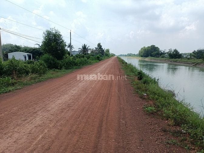 Bán lô đất 6800 có 2500m thổ cư gò dầu Tây ninh giá chỉ 3tr/m 