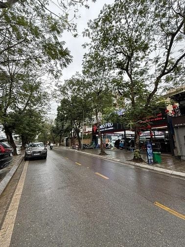 Bán đất biệt thự Vườn Đào dãy D3 diện tích 270m 