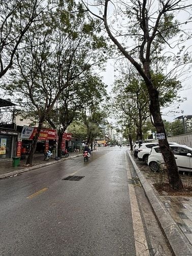Bán đất biệt thự Vườn Đào dãy D3 diện tích 270m 