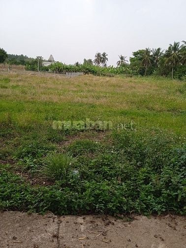Cần cho thuê 2 héc ta đất nông nghiệp sát sông 