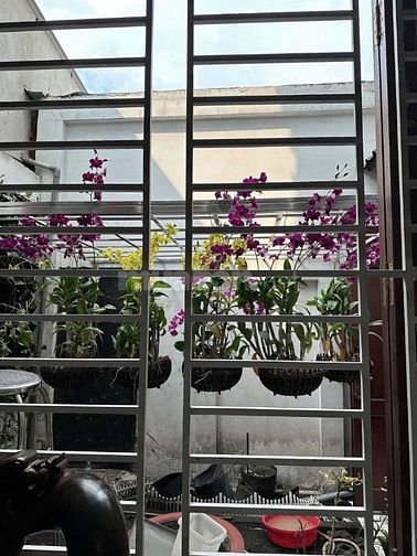 Bán Biệt Thự Sân Vườn Lê Văn Khương Q12 Chính Chủ.