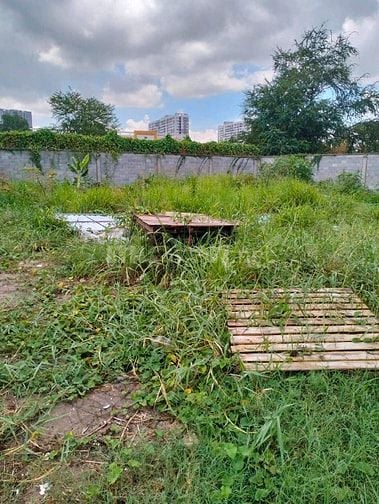 Em cần cho thuê 10.000 m2 góc 2 mặt tiền xe nhựa 10 tấn, Linh Tây 