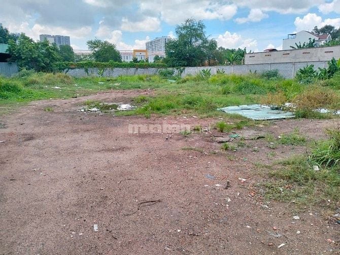 Em cần cho thuê 10.000 m2 góc 2 mặt tiền xe nhựa 10 tấn, Linh Tây 