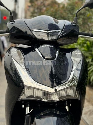 Cần bán SH 160 CBS 2024 chạy 800km siêu mới cực đẹp