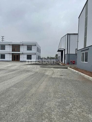 Cho thuê kho xưởng CCN Đức Hòa, Long An, KV: 10.000m2, xưởng : 6.500m2
