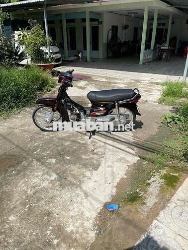 dream dayang Hàn Quốc dọn mới