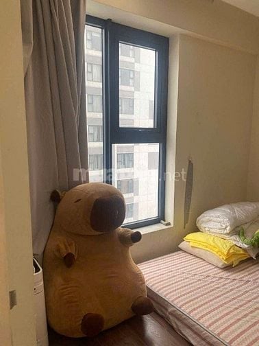 Chung cư Ruby Garden, Nguyễn Sỹ Sách, P15, TB, 57m2, 1PN, 2WC, 8tr/th