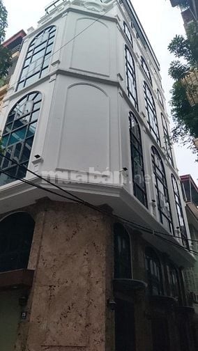 Bán nhà phân lô phố Đào Tấn,Linh Lang dt 107 m,mt 6 m lô góc 2 ô tô 