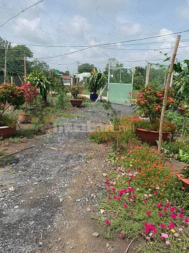 Đất vườn rẽ1450m2 ngang 40m lô nhì đường Nguyễn Văn Thời, 2.5 tỷ shr