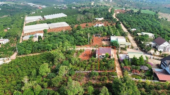 Căn góc 2 Mặt Tiền 3PN thôn 8 mê linh 1,65Tỷ/429m2, nhà và vườn cà phê