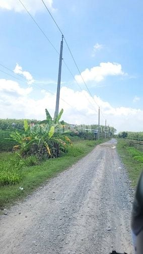 360m2 đường xe hơi. Dân cư đông. sổ hồng riêng 360tr 