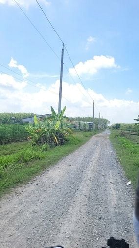 360m2 đường xe hơi. Dân cư đông. sổ hồng riêng 360tr 