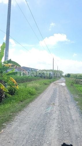 360m2 đường xe hơi. Dân cư đông. sổ hồng riêng 360tr 