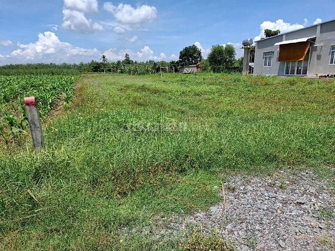 360m2 đường xe hơi. Dân cư đông. sổ hồng riêng 360tr 