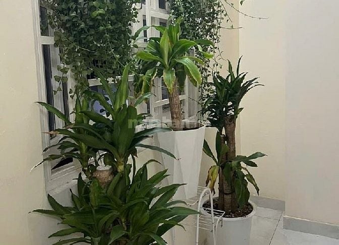 Bán nhà quận 7, giáp Nguyễn Thị Thập, 70m2 chỉ hơn 6 tỷ