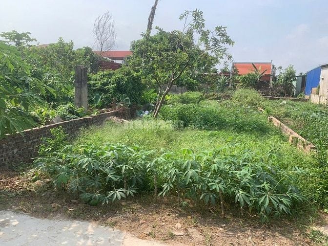 🚗 ĐẤT ĐẸP ĐÓN Ô TÔ – SÁT VIN – GIÁ ĐẦU TƯ – KHÔNG MUA LÀ TIẾC!