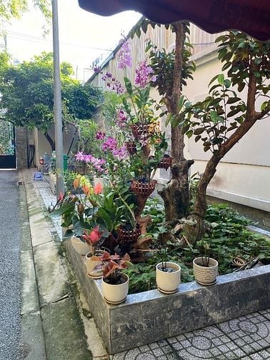Cho thuê căn hộ dịch vụ mặt tiền Trần Thị Năm, Tân Chánh Hiệp, Quận 12