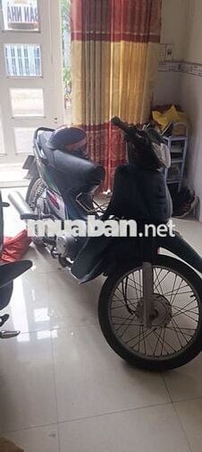 Xe đen xanh