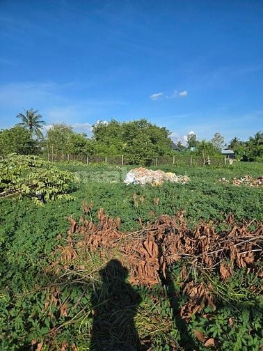 Bán Đất 300m2 Mặt Tiền 10m2 Đườg nhựa 6m2. Cần Giuộc Long An