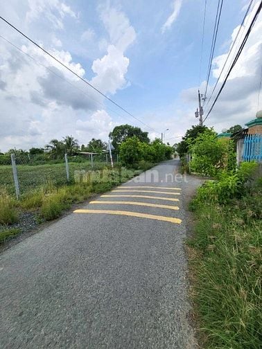 Bán Đất 300m2 Mặt Tiền 10m2 Đườg nhựa 6m2. Cần Giuộc Long An